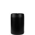 RegCan-Black4-WPI